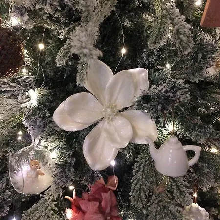 Maison Salonique 1930 Appartamento